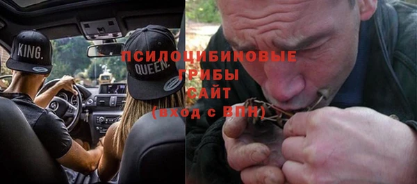 ГАЛЛЮЦИНОГЕННЫЕ ГРИБЫ Надым