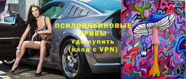 СК Алзамай