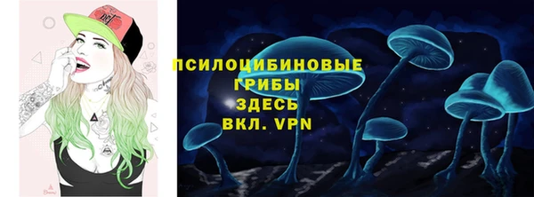 СК Алзамай