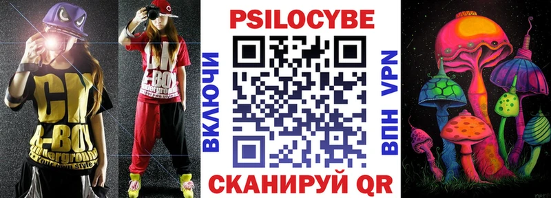 Купить  Воскресенск  Галлюциногенные грибы Psilocybe 